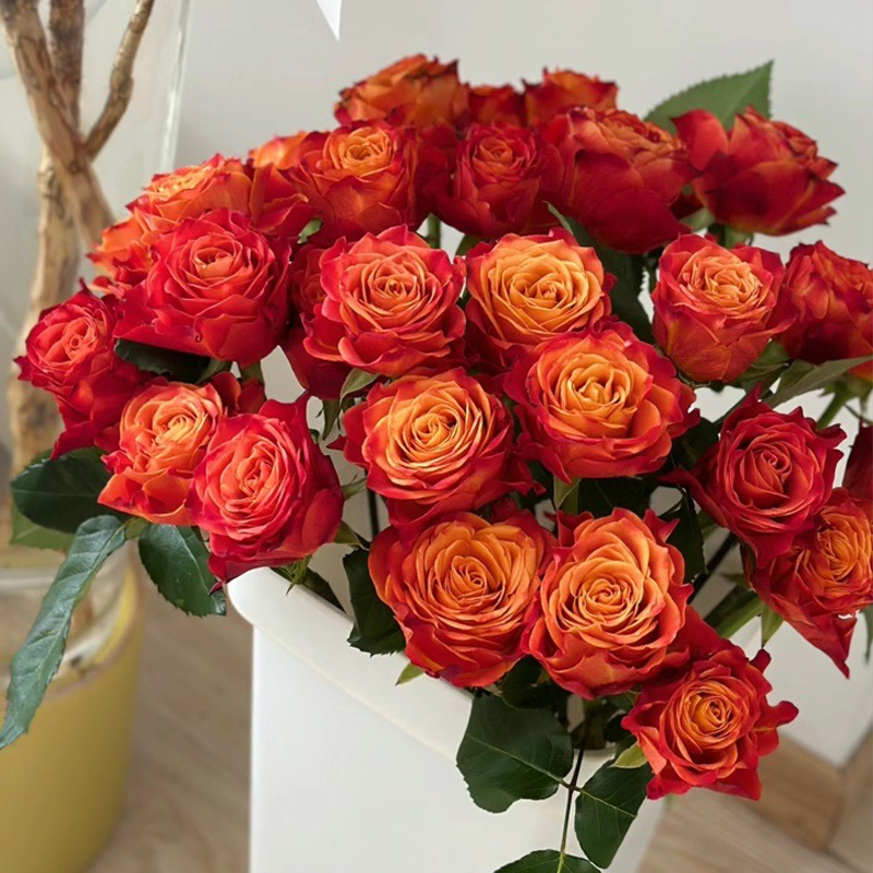 【如意花卉】【原子】 单头玫瑰 微展现采现发 一单顺丰 山东直发