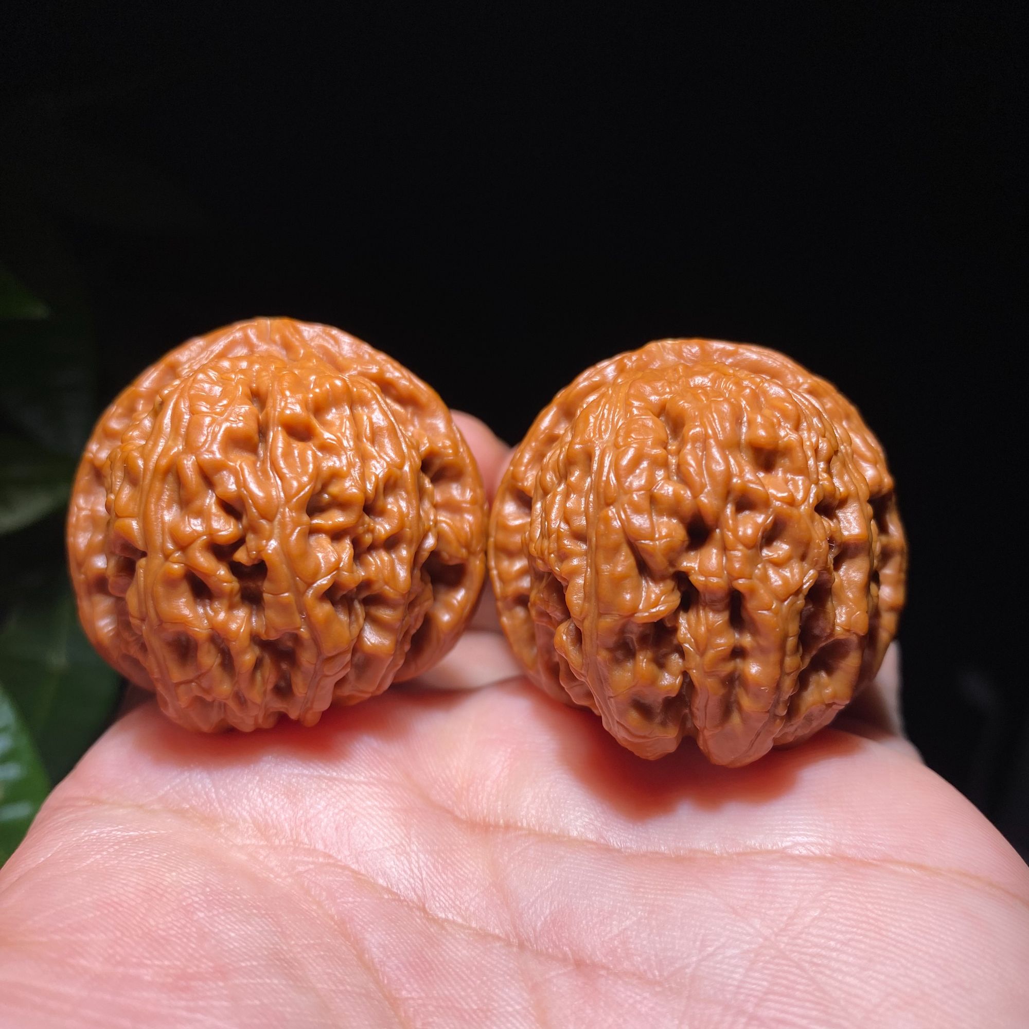 文玩核桃白狮子【球白】