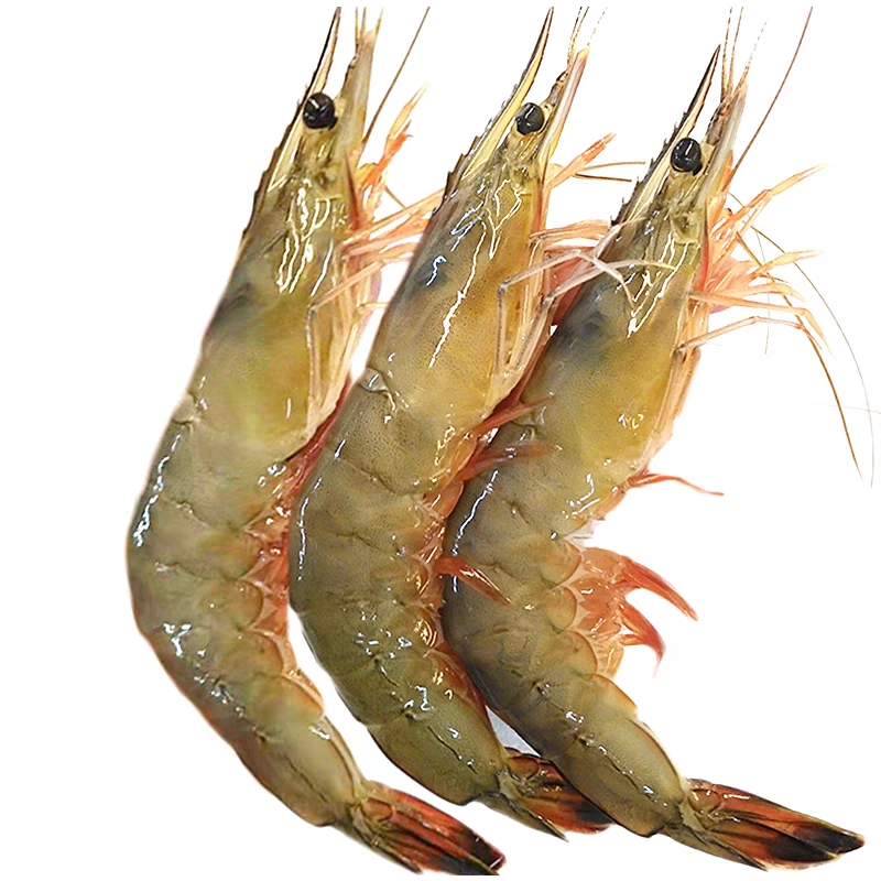 山东威海现捕现捞新鲜速冻大对虾3斤顺丰快递发货油焖大虾人物