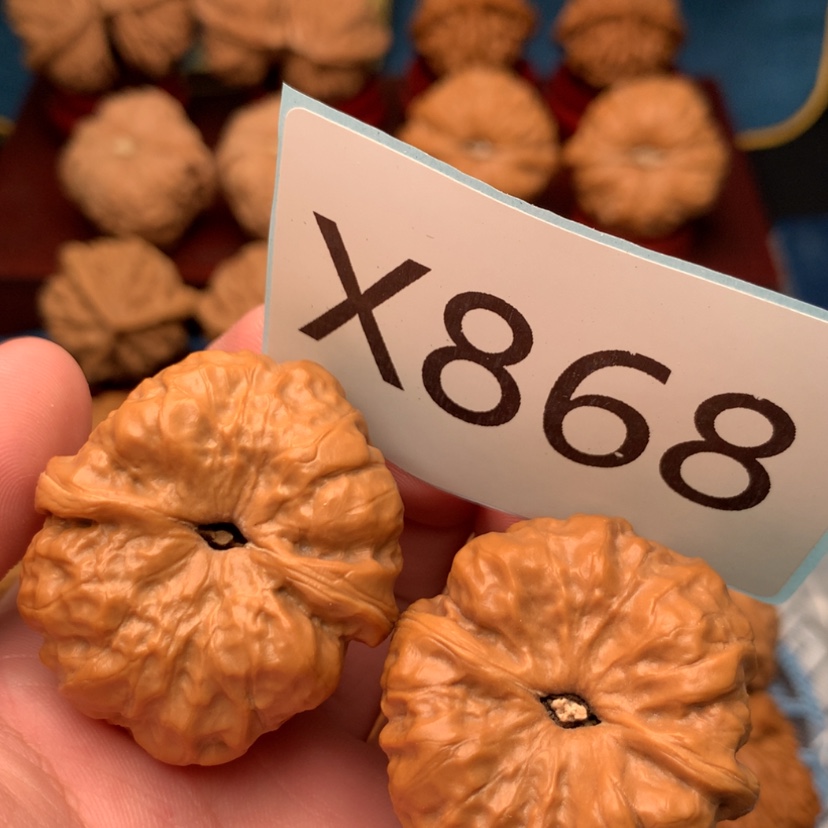 【闪购商品】文玩核桃把件38青蛙
