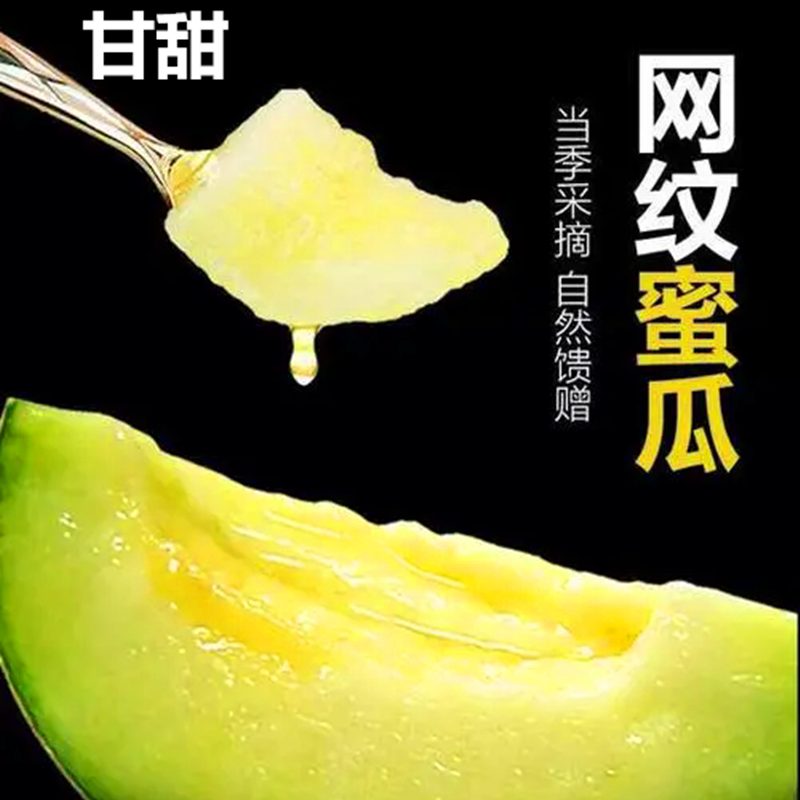 绿色哈密瓜正宗网纹瓜新鲜水果蜜瓜当季香瓜软糯香甜瓜冰激凌甜瓜