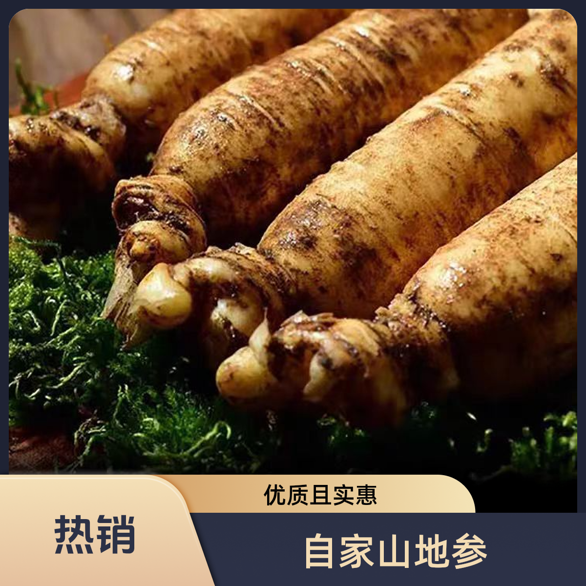 东北山地散养人参（鲜人参10支装）【保温箱＋青苔发货】