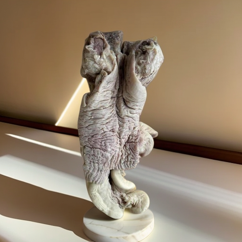 牛欢喜牛碗口牛大肠头牛美丽牛下货优质新鲜冷链