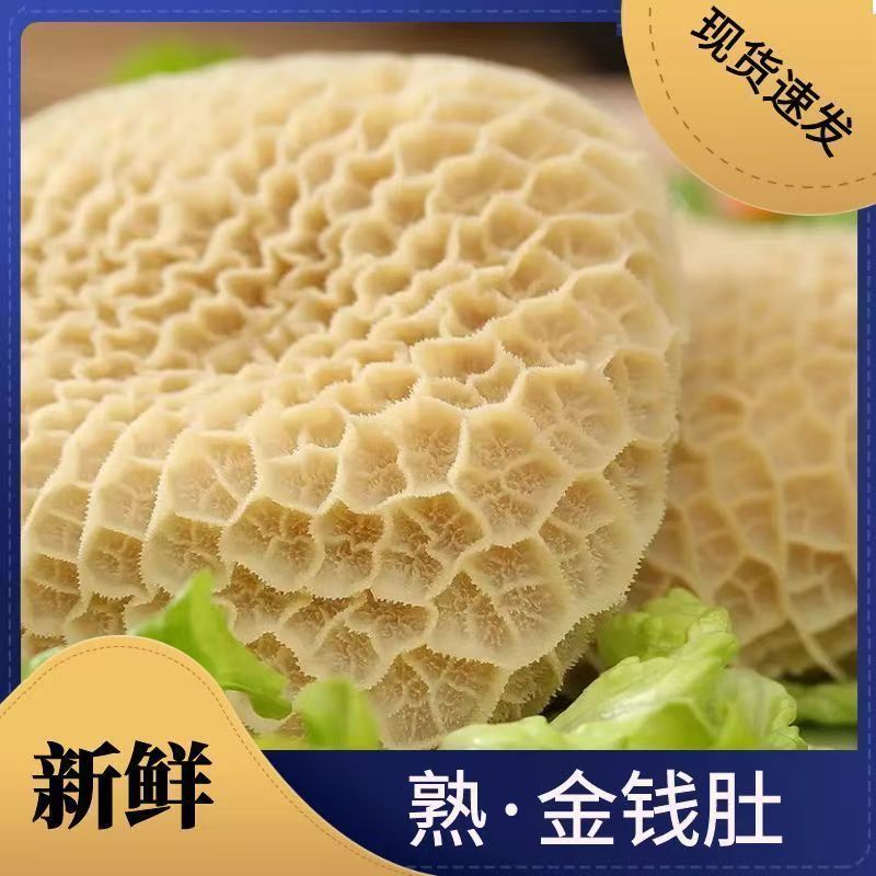 牛肚蜂窝肚金钱肚