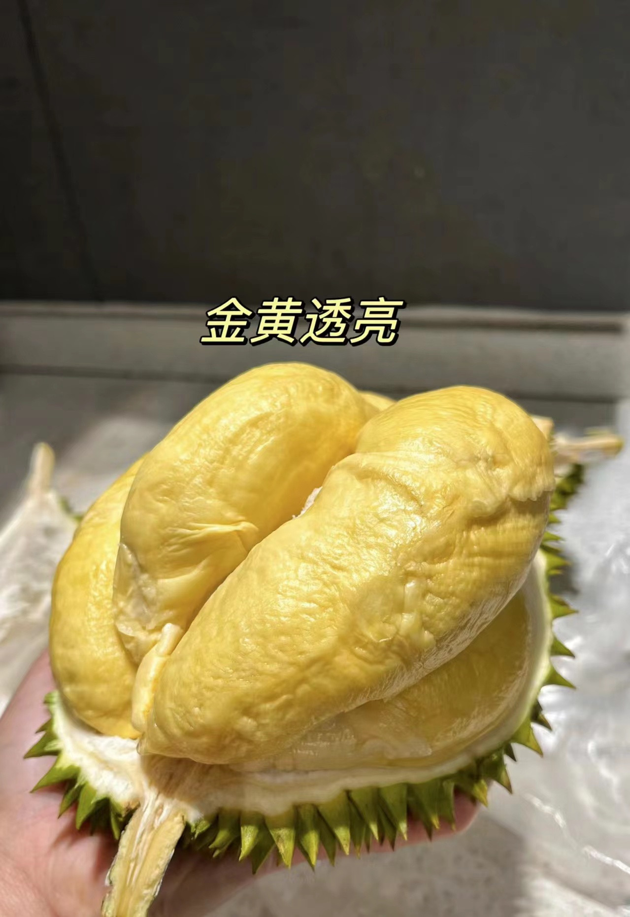 金枕头榴莲，现拨果肉，1斤装，现发货