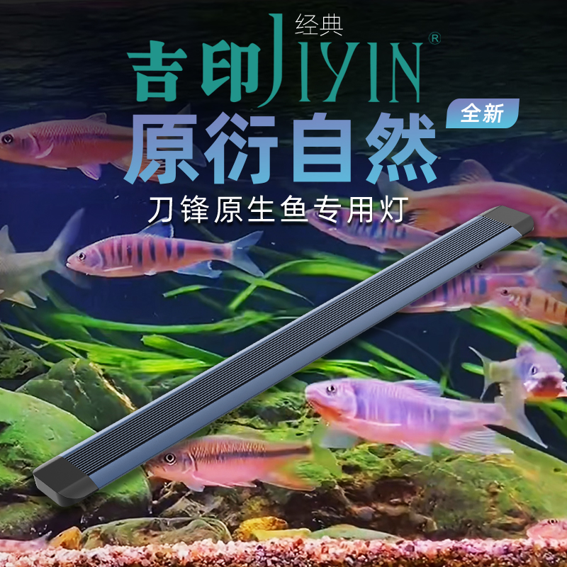 原生鱼溪流缸专用灯防水照明灯全光谱爆藻灯led鱼缸灯溪流灯