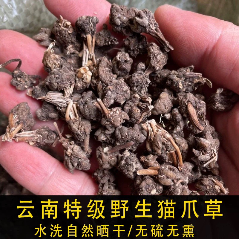 【大静推荐】野生猫爪草水洗猫爪草正品猫爪草搭夏枯草郁金蒲公英