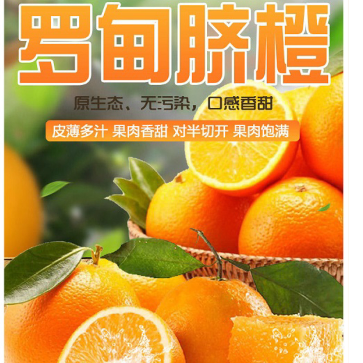 有机罗甸纽荷尔甜橙应当季水果园基地现摘现发鲜甜橙