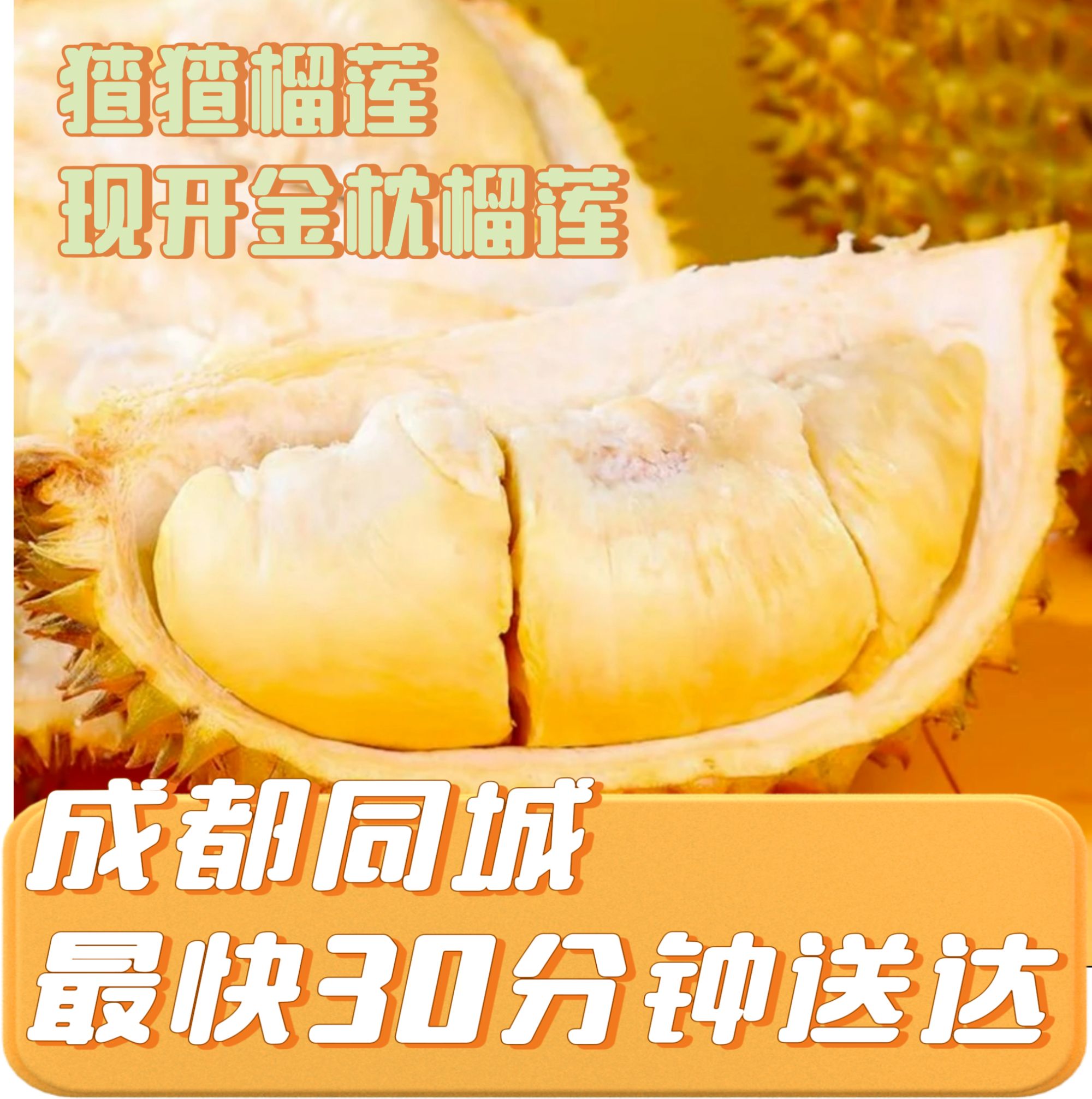 【1.5斤现开奶香熟金枕果肉】金枕榴莲，干包软糯，成都榴莲小时达