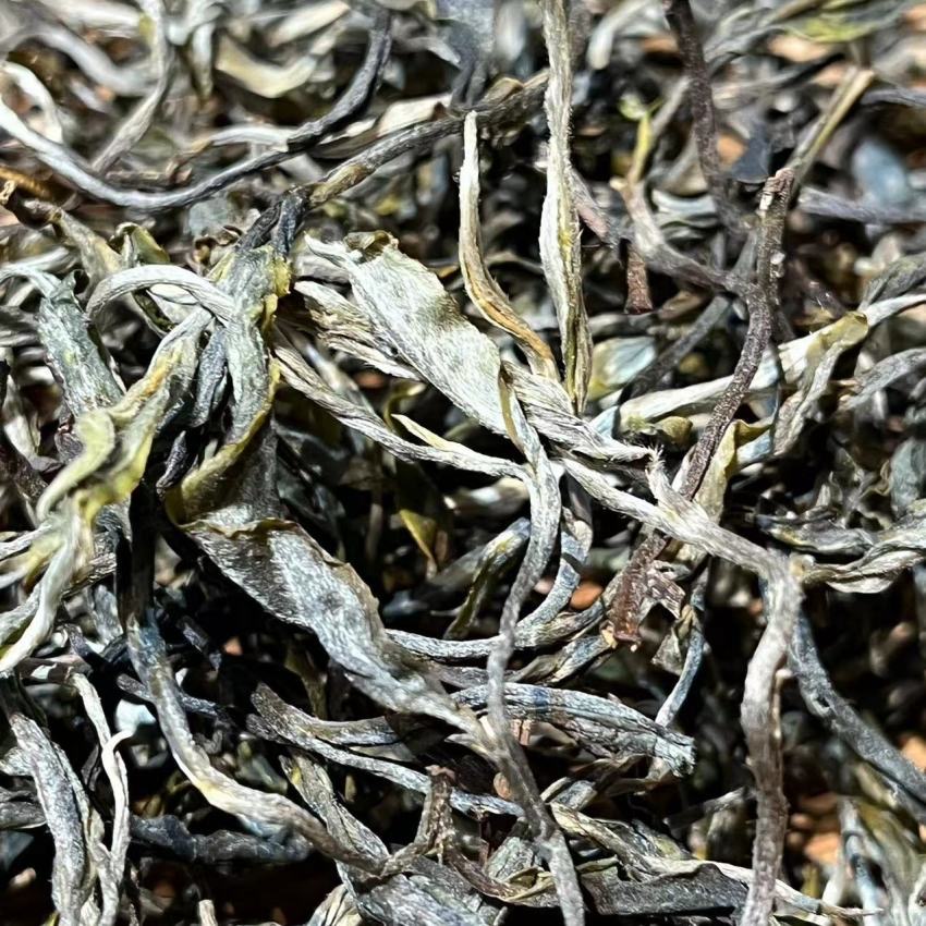 2资深茶客专享链接 普洱茶生茶