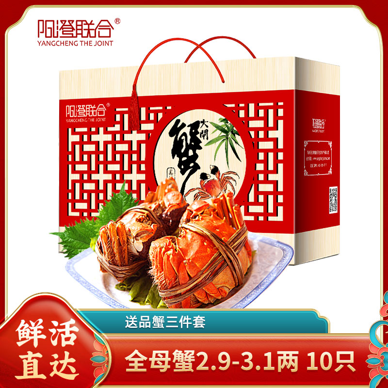 【活蟹】阳澄联合大闸蟹全母蟹2.9-3.1两10只礼盒