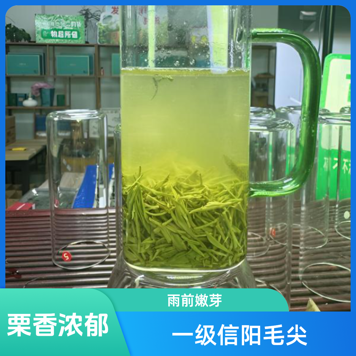 2024信阳毛尖 雨前芽叶 茶香鲜爽 正宗生态传统工艺 袋装茶叶