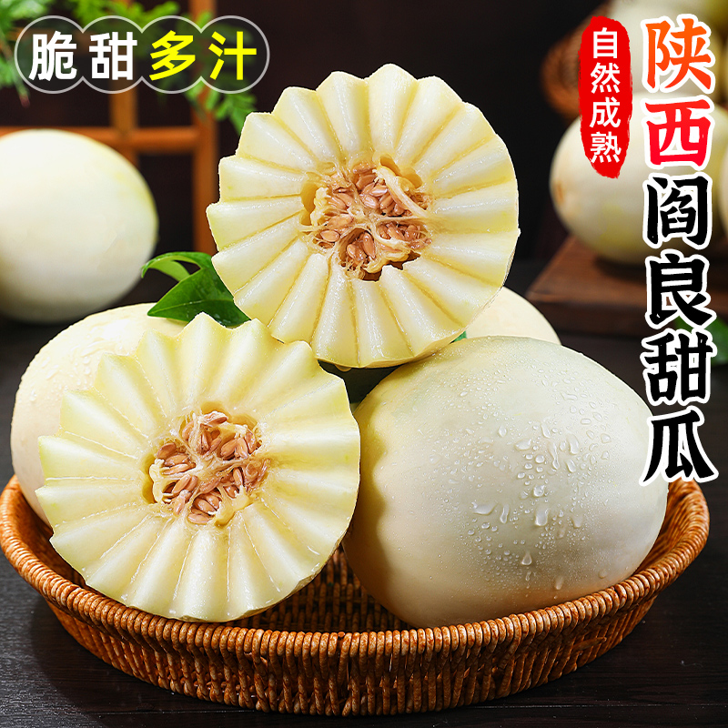 【香甜多汁】陕西阎良甜瓜2.5-5斤软糯香甜蜜瓜香瓜新鲜水果