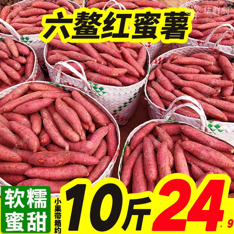 【览拓】福建六鳌红蜜薯带箱农家自种蔬菜新鲜沙地红心红薯大小番薯