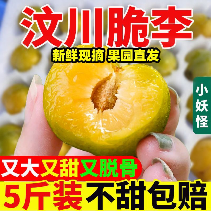 正宗四川汶川李子脱骨脆李新鲜李青脆脱骨李四川脱骨脆蜂糖李李子