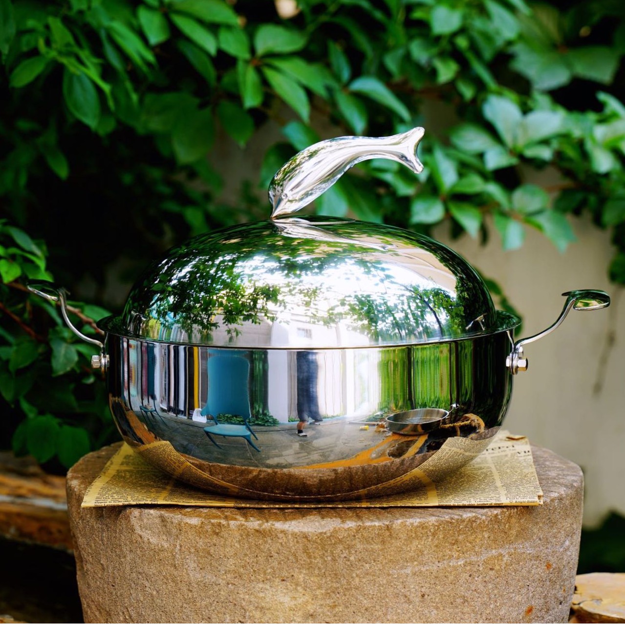 vitasana海豚玲珑锅多用途锅