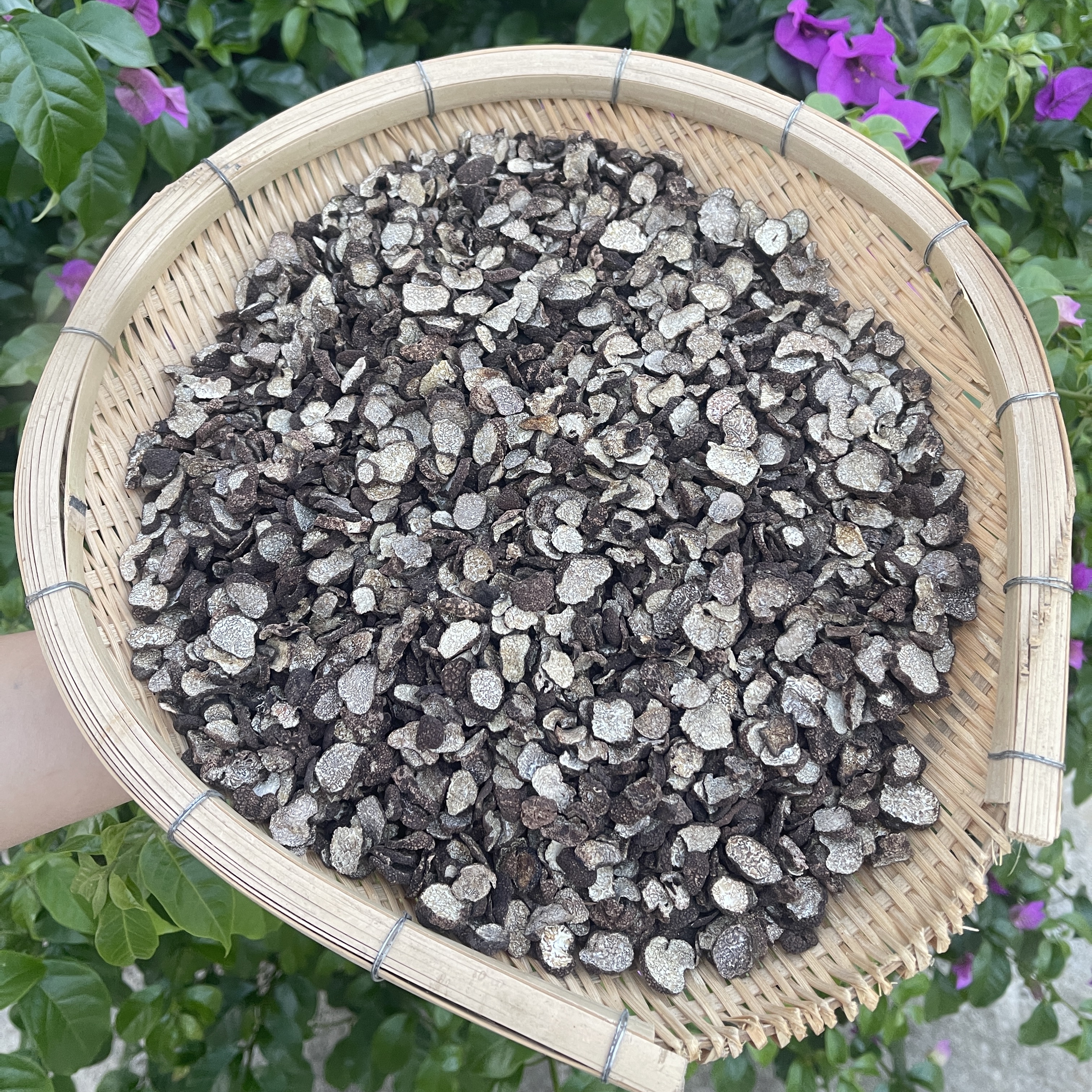 云南土特产 现收山货 干片黑、松、露