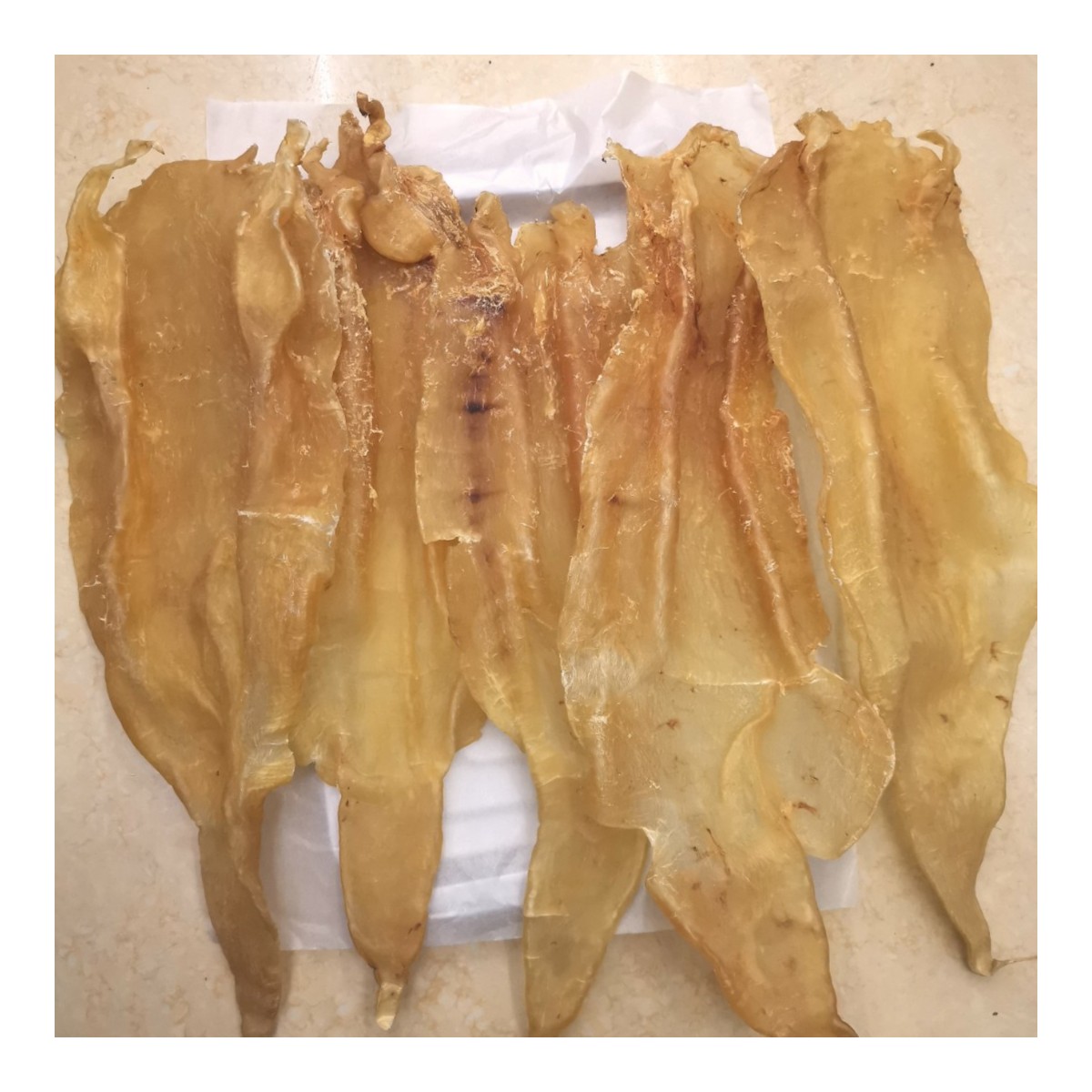 熊哥推荐北海鱼胶（母胶）