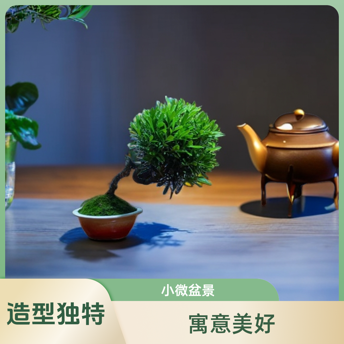 造型童子功黄杨小微盆景四季常青室内茶台书房阳台盆栽寓意夏季