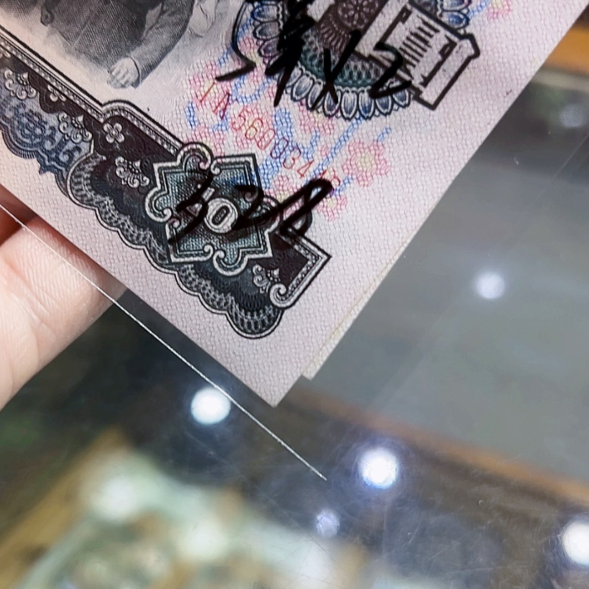 【闪购商品】浪**涯大团结