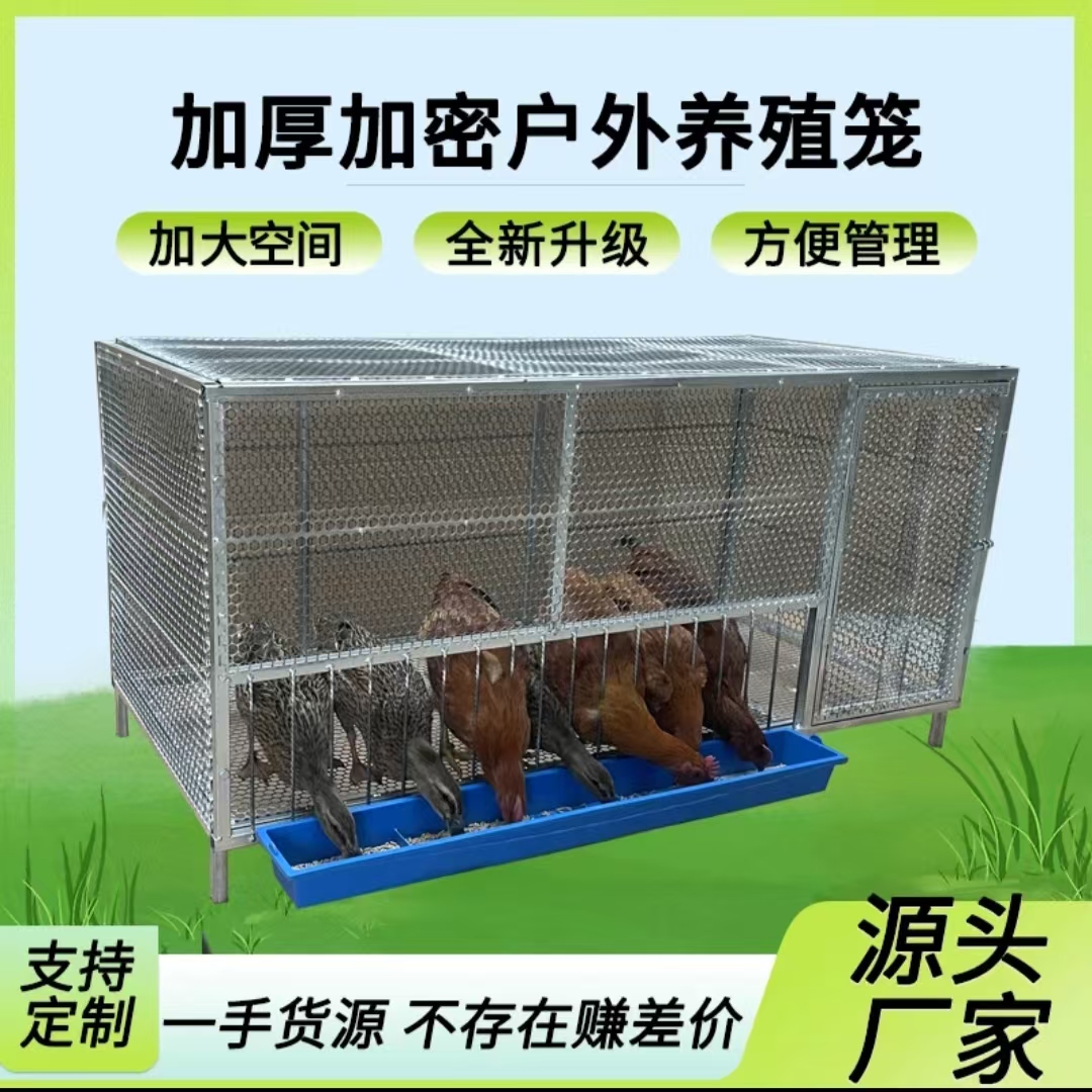 加厚圆孔新款探头养鸡出来吃食笼