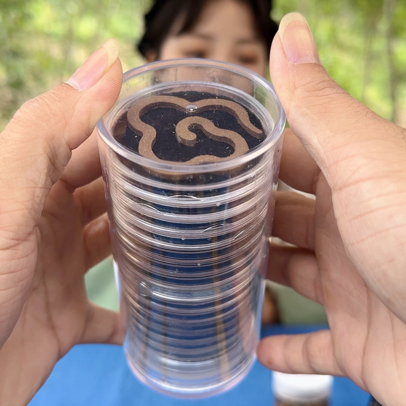 【闪购商品】沉香手串原母树盘云香15片装多样性发一