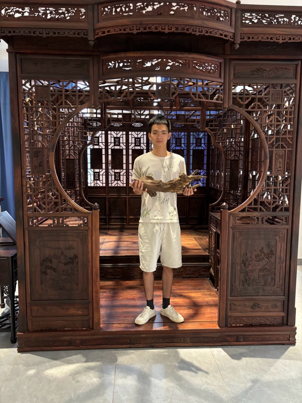 天然野达拉干九分沉瘤疤料