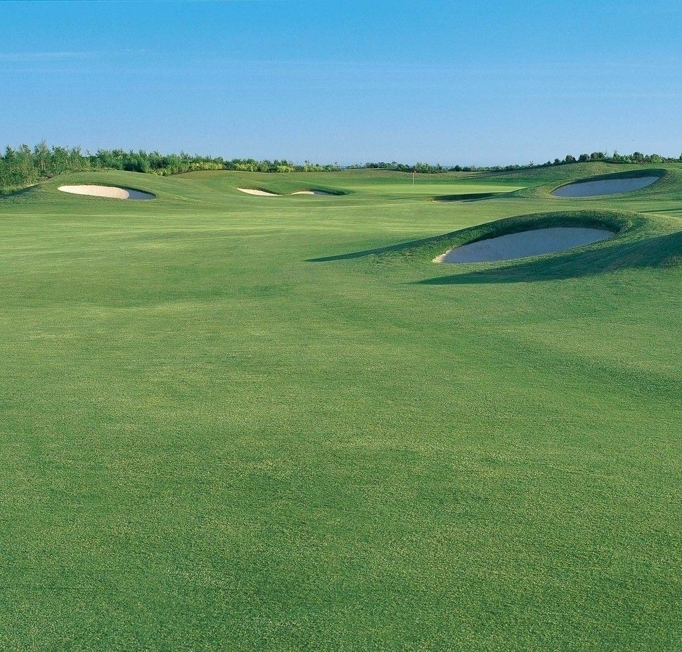 球杆备用链接，，请同客户确认后购买