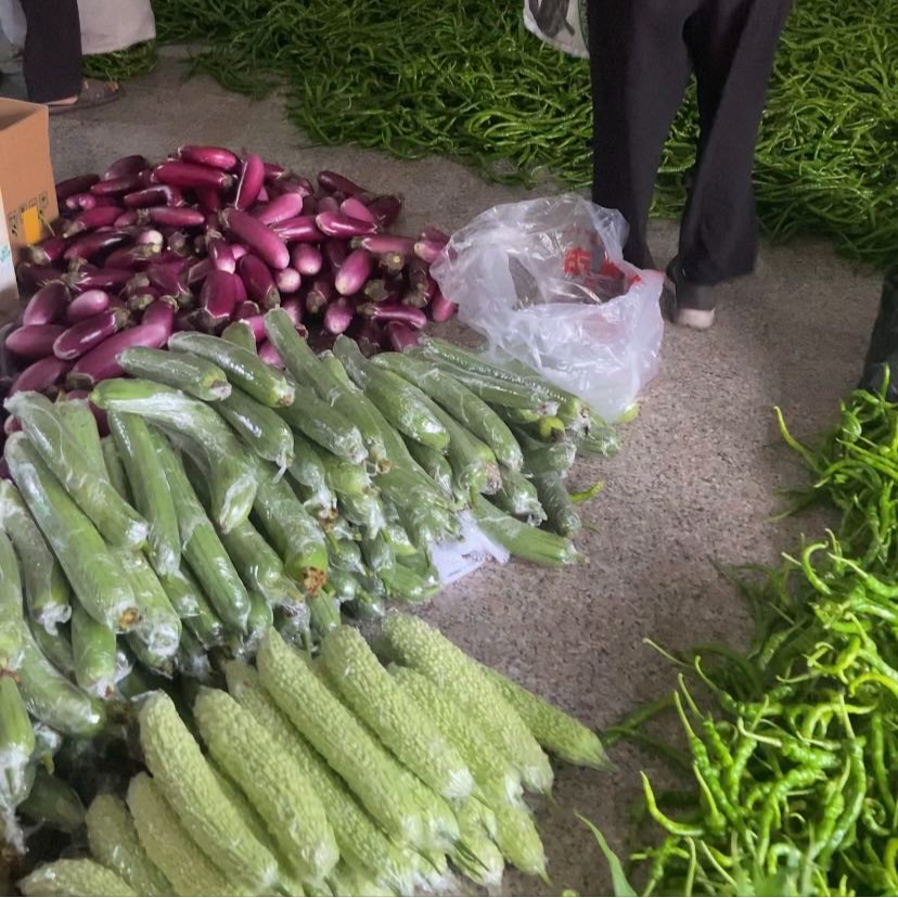 湖南农村当季蔬菜邵阳农家纯露天自种本地菜