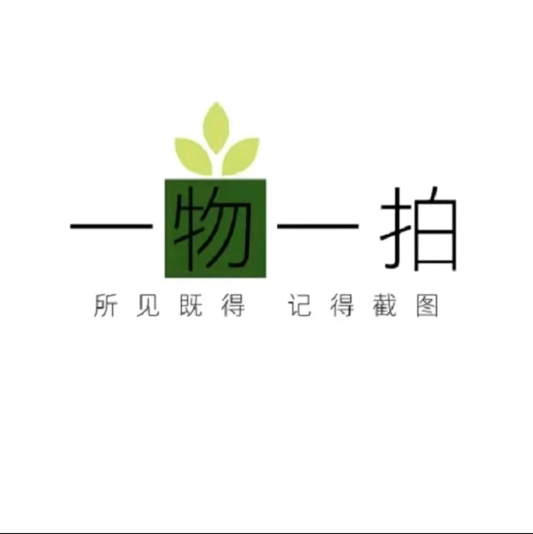 【三角梅一物一拍】运输中掉花掉叶正常严重会光杆不作为售后理由