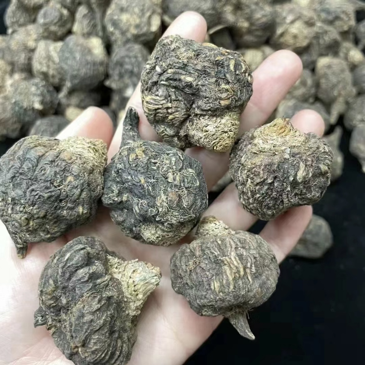 高原生长黑卡咔