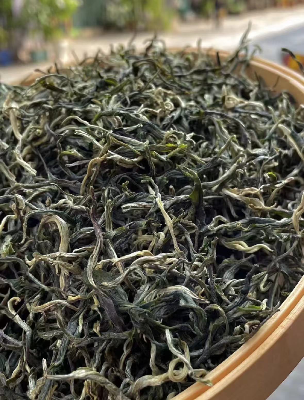 金福驿站  金福古树茶 晒青毛茶散茶品鉴装