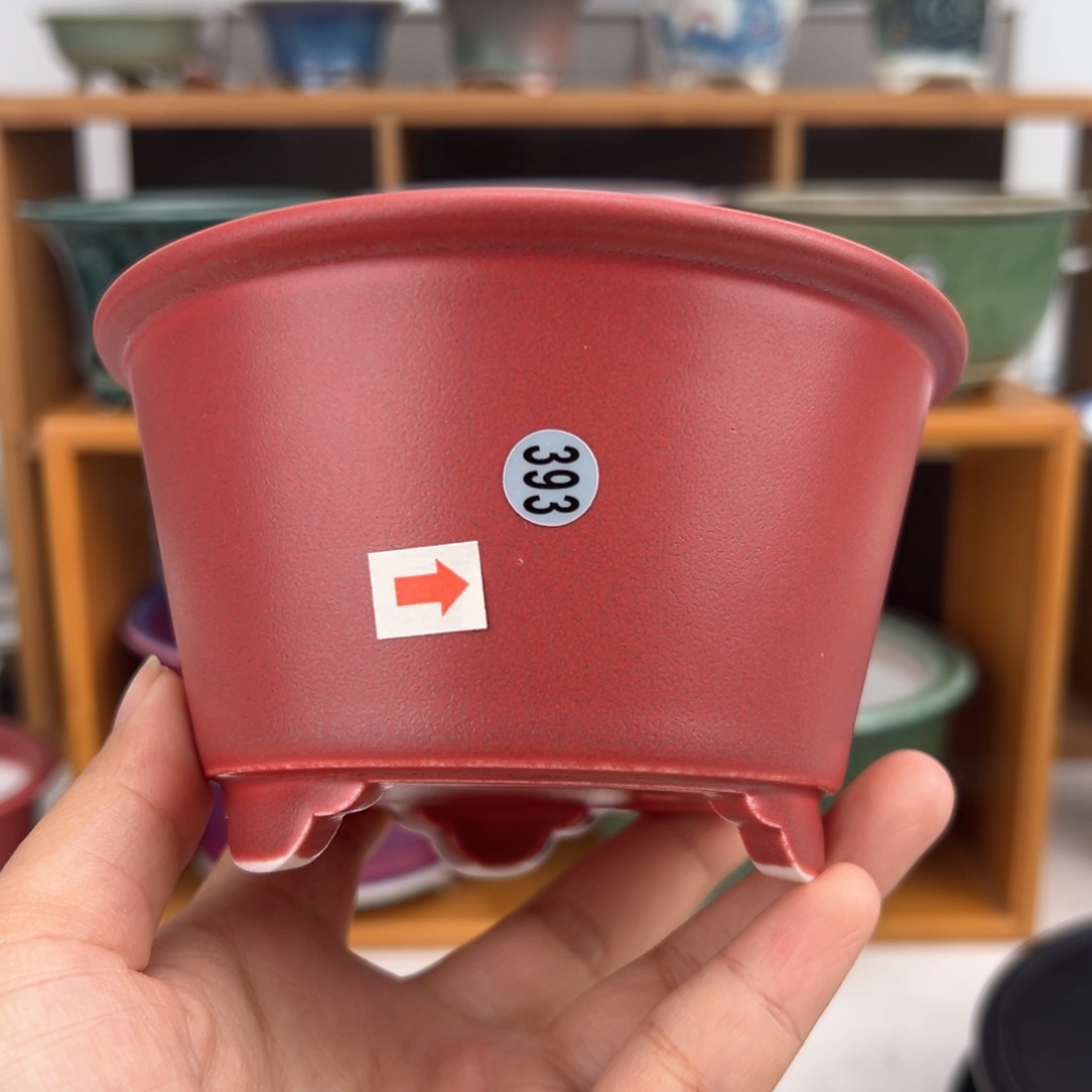 红陶双十一福利价