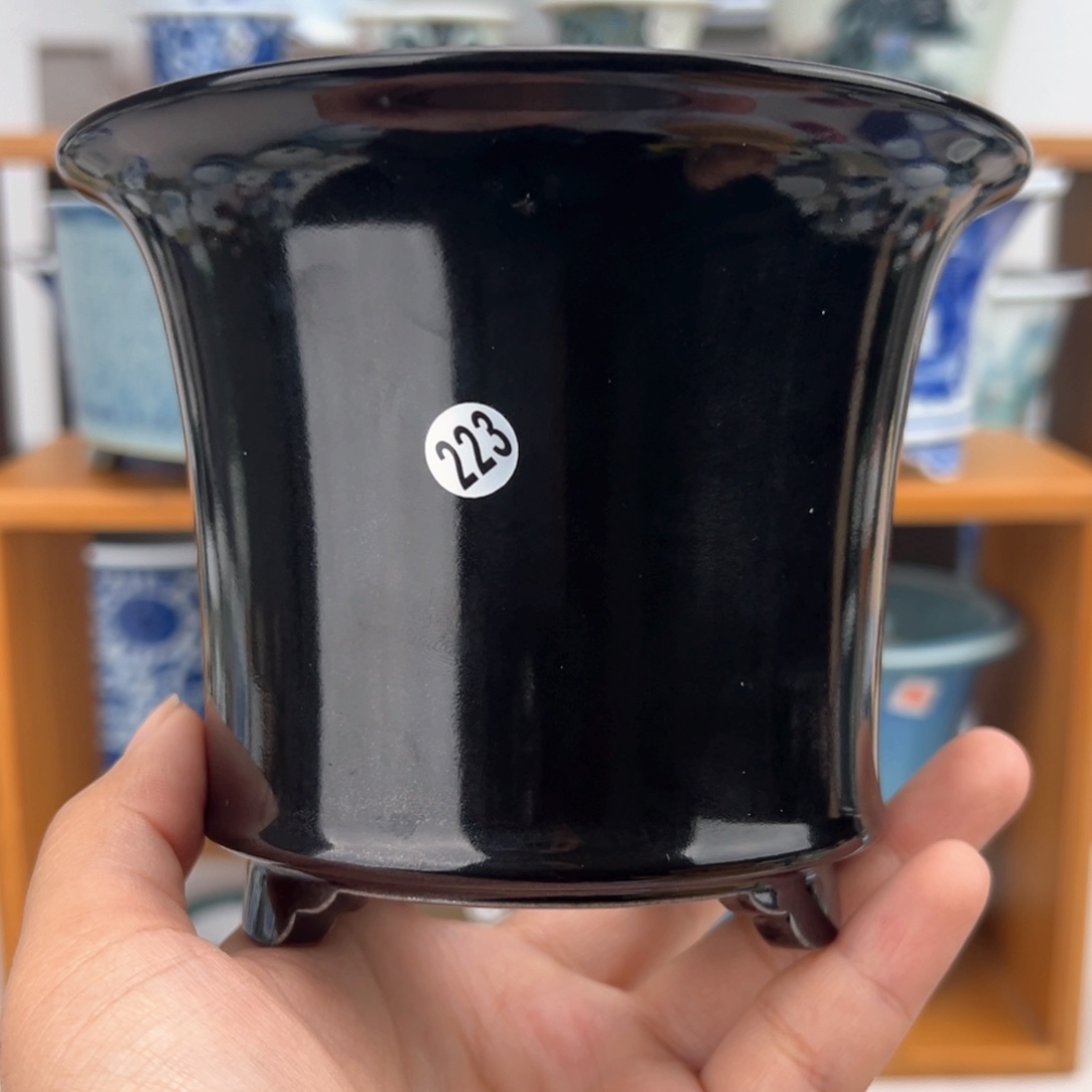 红陶双十一福利价