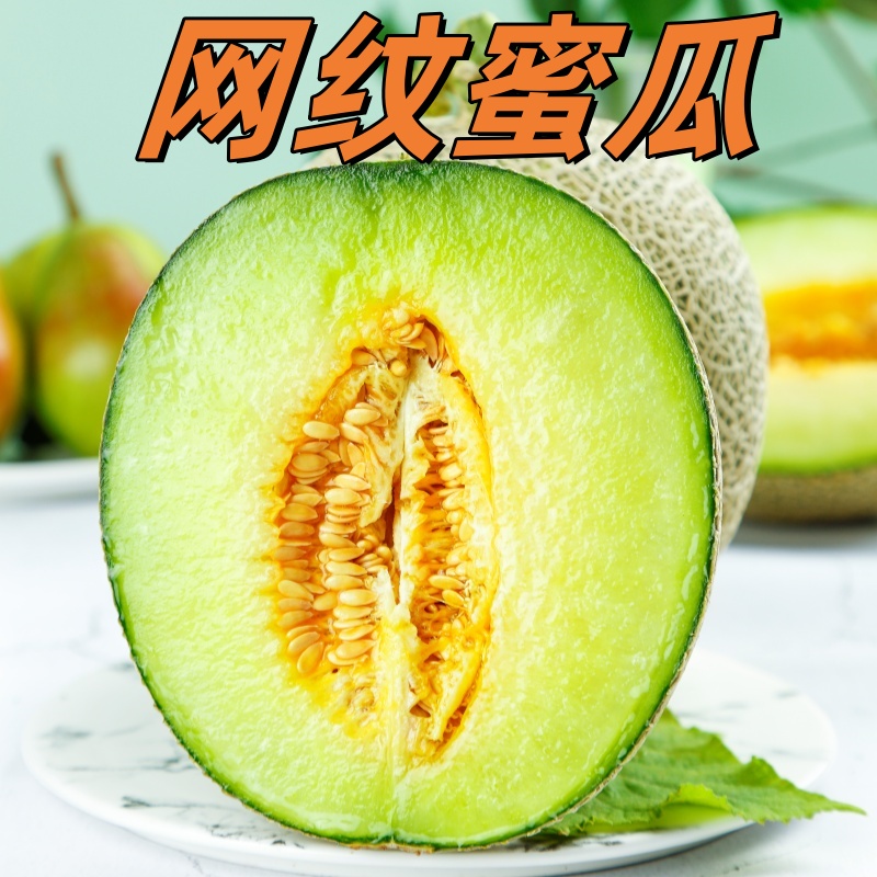 正宗网纹瓜哈密瓜玫之珑哈蜜瓜新鲜采摘水果热带水果网纹蜜瓜