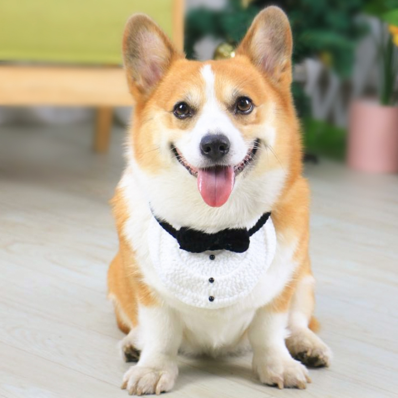 宠物狗狗围脖围巾可爱装饰用品三角巾口水巾围兜柯基比熊泰迪柴犬