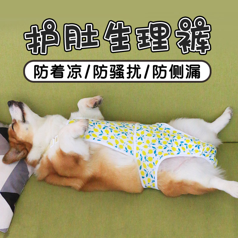 宠物狗狗生理裤经期衣服大姨妈女狗母狗姨妈裤防交配神器柯基泰迪