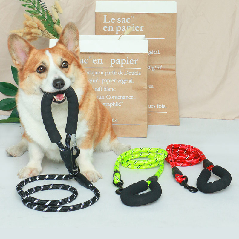 狗狗牵引绳小型犬猫咪遛狗推荐宠物用品柯基大型犬狗链中型犬狗绳