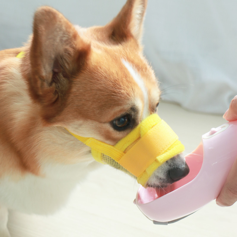 宠物狗狗嘴套止吠器嘴罩口罩防舔防咬防乱吃小型犬中型犬柯基泰迪