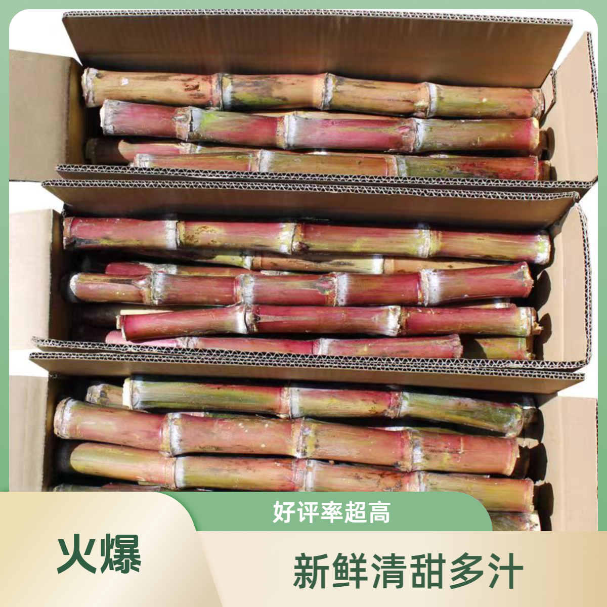 云南本地红皮脆甜甘蔗有裂可榨汁介意勿拍