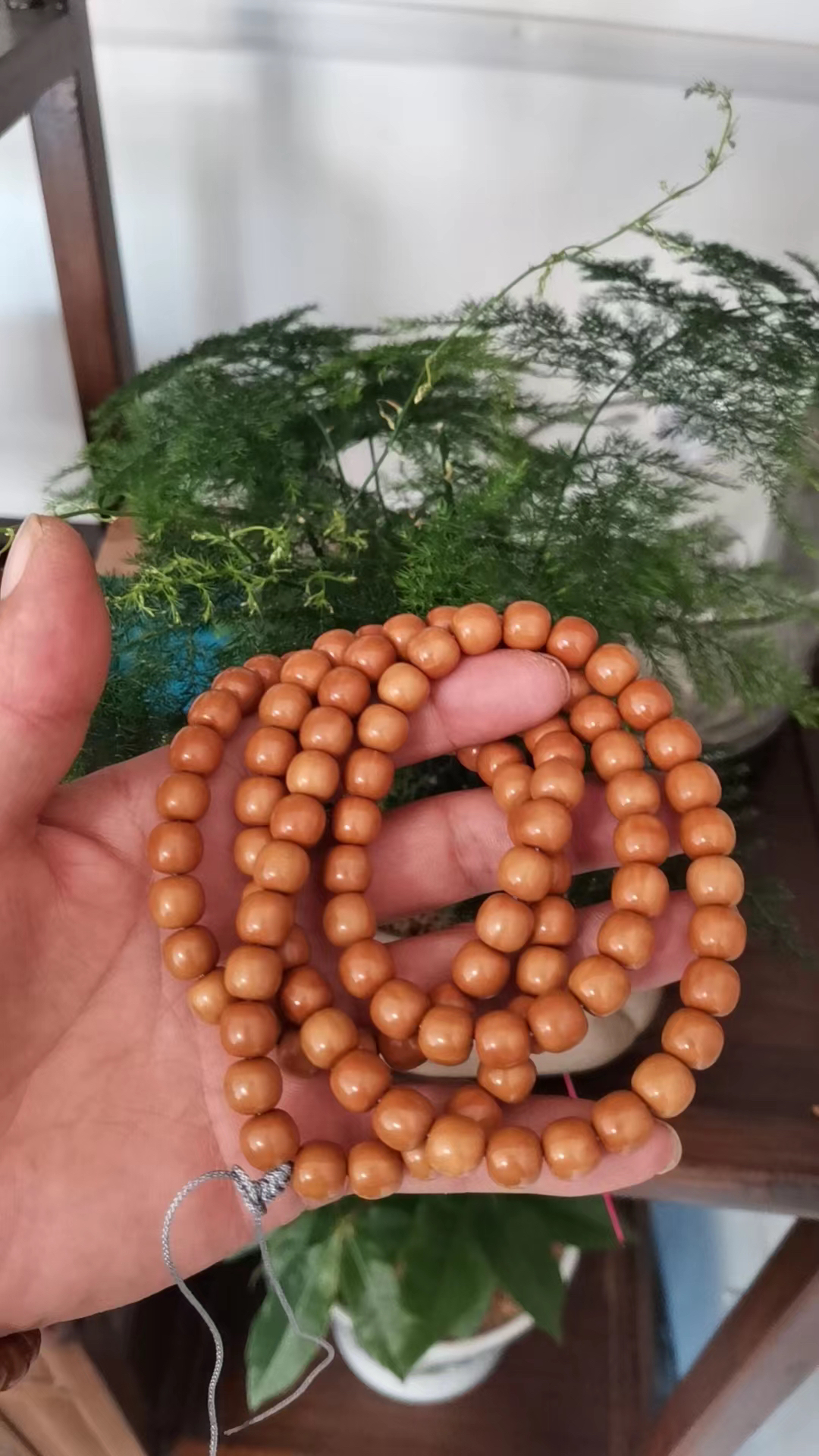 （官庄猴头）二级猴头核桃脖挂专属链接