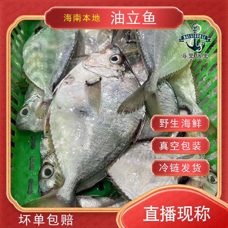 海南本港（大油立）直播现称2
