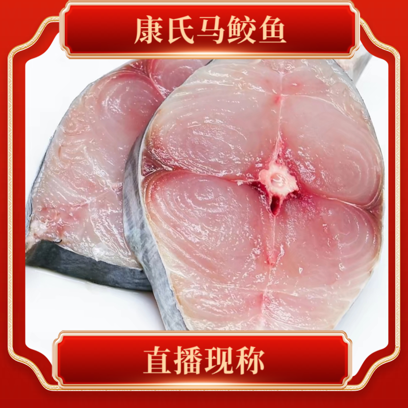 15斤【康氏马鲛鱼】海南渔港深海捕捞 直播现称