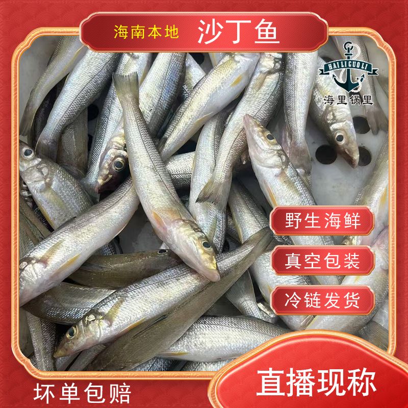 海南本港（约二十多条/斤沙丁鱼）直播现拍、现称