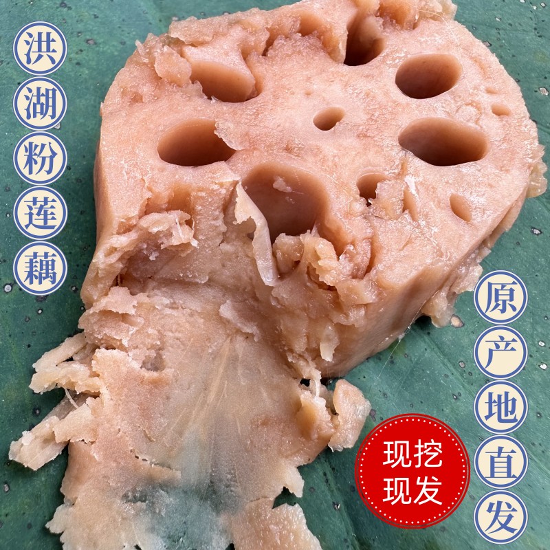 煲汤粉莲藕湖北洪湖莲藕粉藕面藕九孔新鲜食用蔬菜农产品3斤5斤