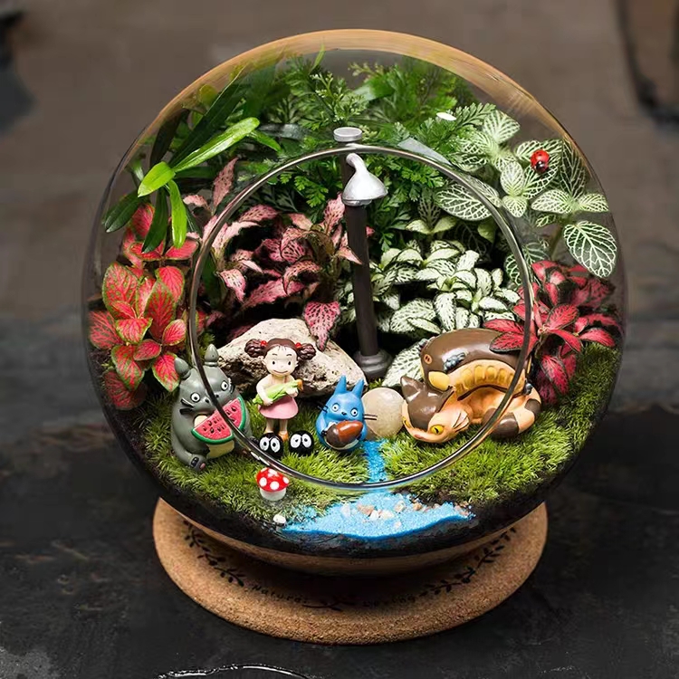 创意微景观生态瓶