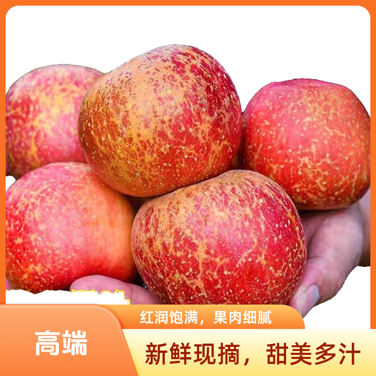 正宗原生态云南昭通红富士冰糖心苹丑果脆甜新鲜采摘3/5斤包邮