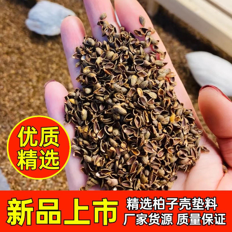 柏子壳芦丁鸡垫料五次过筛除尘饱满颗粒小鸡可以吃的垫料天然清香