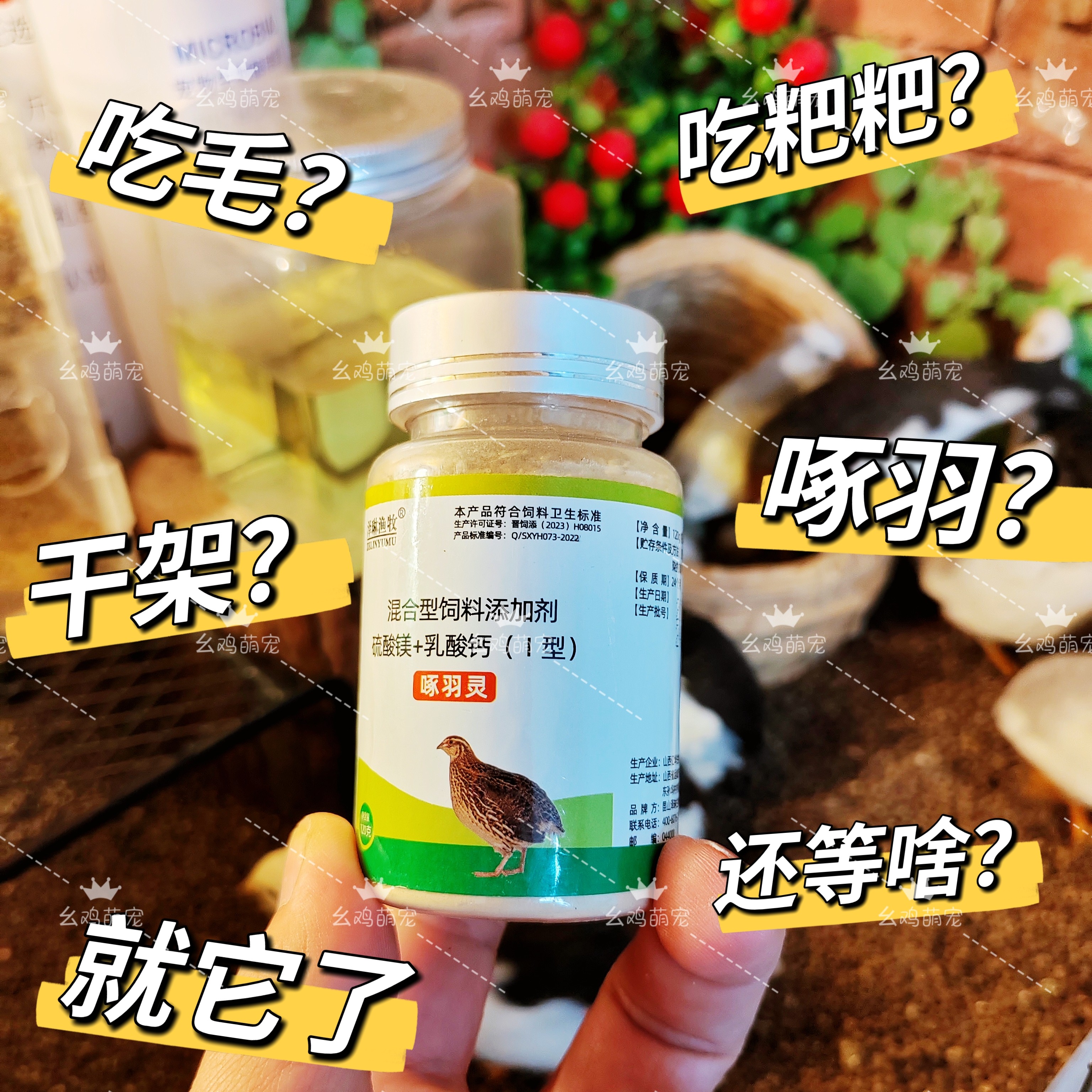 芦丁鸡用啄羽灵增加抵抗力微量元素预啄羽咬尾换羽断羽鸟用零食