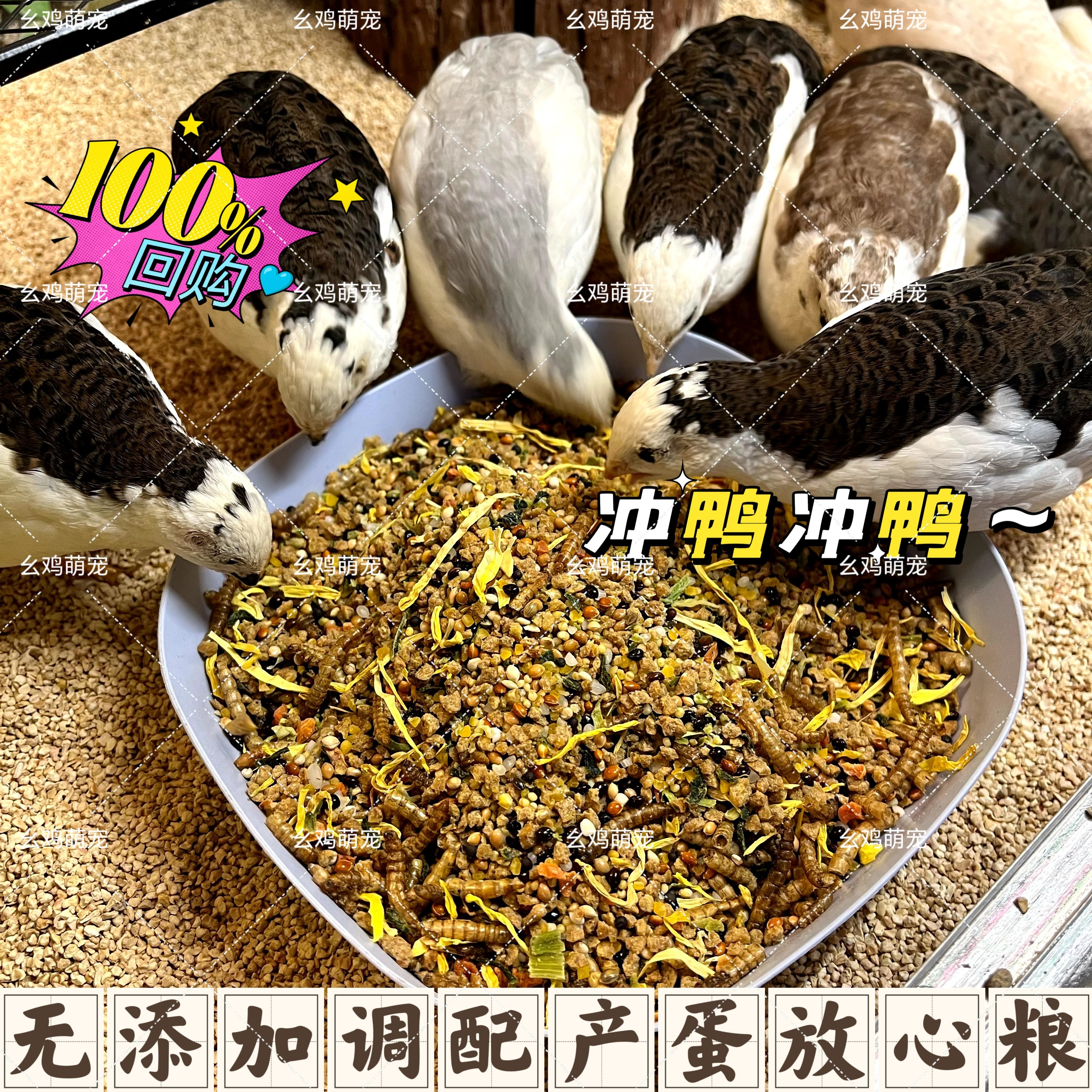 芦丁鸡鹌鹑营养产蛋粮蔬菜干面包虫优选粮自配高品质放心健康饲料